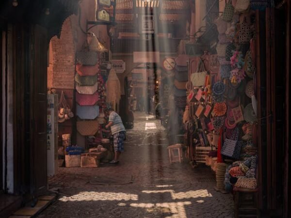 Marrakech Private Guided City Tour