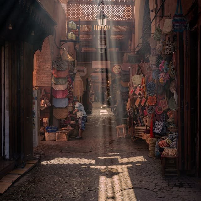 Marrakech Private Guided City Tour