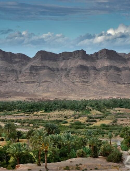 Zagora Desert Tour from Marrakech