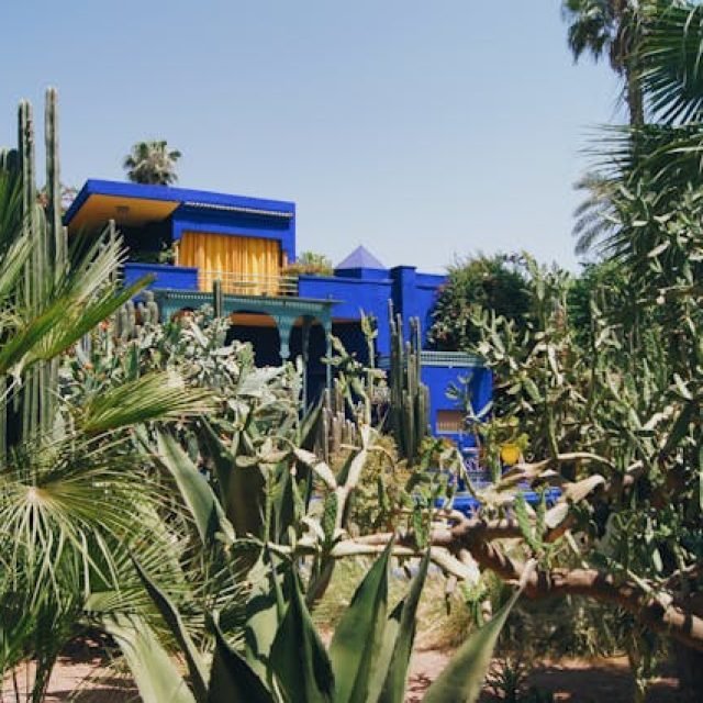Jardin Majorelle & Yves Saint Laurent Museum